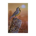 Trademark Fine Art Jeff Tift 'Meadowlark Painting' Canvas Art, 22x32 ALI30242-C2232GG